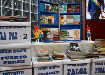 El Ministerio de Educación busca recaudar más de 50.000 libros.