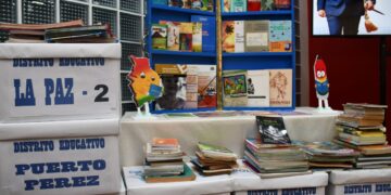 El Ministerio de Educación busca recaudar más de 50.000 libros.