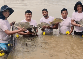El pescado que ofrecerá la empresa estatal.