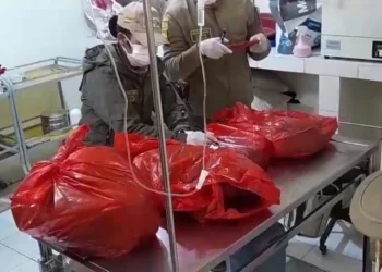 La Fiscalía y Pofoma intervinieron Zoonosis/ Fiscalía de Oruro