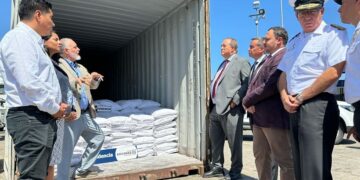 Precursores químicos decomisados en Chile.