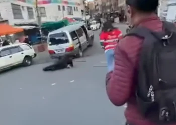 Un funcionario del Concejo de La Paz fue arrollado por un minibús mientras se realizaba un operativo. FOTO: RRSS