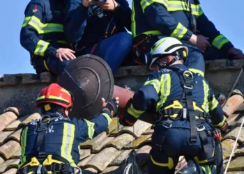 Los bomberos del Vaticano colocaron la chimenea/Vatican News