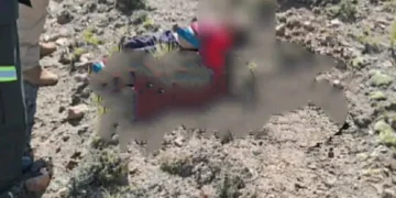 Los niños fueron encontrados al pie de un cerro/Policía Boliviana