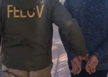 La mujer fue aprehendida por la FELCV/ RRSS