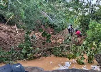 Las lluvias afectan a Caranavi. Foto: Tele Norte Caranavi.