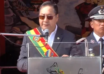 El presidente Luis Arce.
Foto: Captura