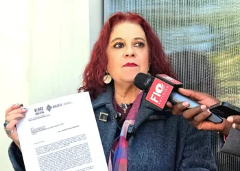 La directora de Gestión Nacional del Sistema Único de Salud, María Rothe,. FOTO: Ministerio de Salud