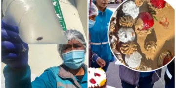 Insectos pegados a tortas además de productos vencidos fueron halados en un operativo. FOTO: GAMLP