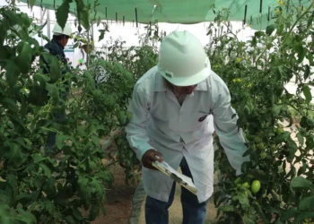 La planta de forraje del FPS Oruro. Foto: FPS.