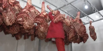 carne