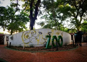 zoo_scz.jpg