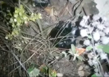 Se encontraron velas y otros objetos en el cerro Picacho/RRSS