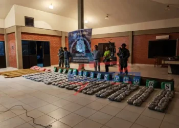 La drogas incautada y el conductor aprehendido/FELCN