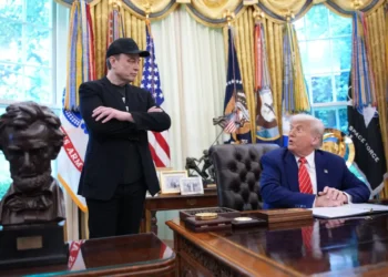 Musk y Trump están enfrentados/AFP