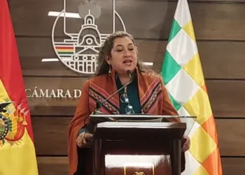 La senadora Gladys Alarcón brinda una conferencia de prensa.