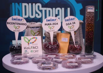 Algunos de los productos del INIAF. Foto: Ministerio de Desarrollo Rural.