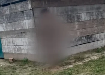 Los cadáveres estaban fuera de una casa de madera/Captura Unitel