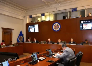 Se presentó el proyecto en el Consejo Permanente de la OEA. Foto: Cancillería Bolivia.