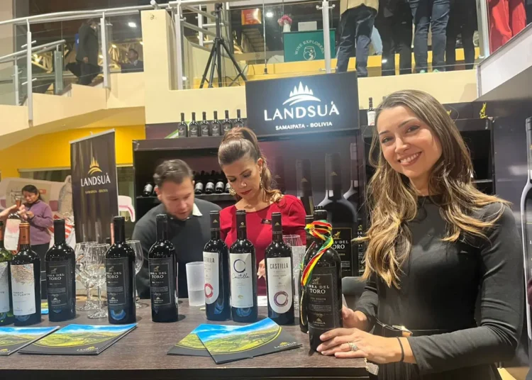 Oferta de vinos en la feria. Foto: Addy Llave