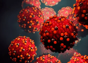 virus_sarampion