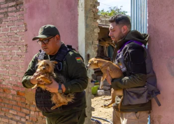 Personal de Zoonosis y Pofoma de Cochabamba rescataron a 40 perros que sufrían maltrato extremo. FOTO: GAMC