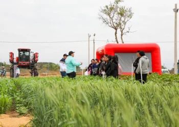 Expoagro