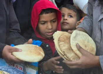 Cada vez es más difícil conseguir comida en Gaza/ UNRWA
