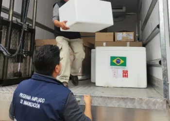 https://larazon.bo/sociedad/2025/07/17/el-pais-recibira-un-nuevo-lote-de-vacunas-contra-el-sarampion/