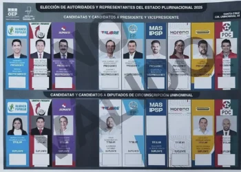 La papeleta electoral que ingresará a imprenta sin la sigla del NGP.