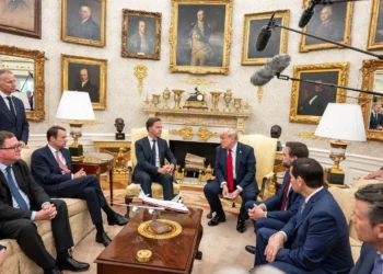 El secretario general de la OTAN, Mark Rutte se reunió con Trump/The White House