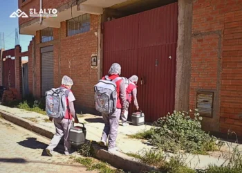 Las brigadas realizan el rastrillaje/GAMEA