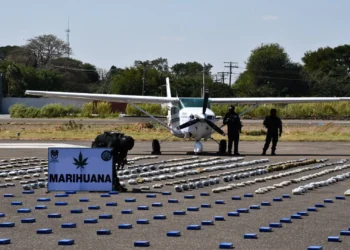 El Gobierno presentó un informe de la droga decomisada en seis operativos.