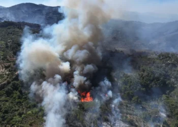 Los vientos ayudan a la propagación del fuego/AFP