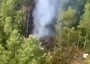 La aeronave se estrelló en una zona boscosa/AFP