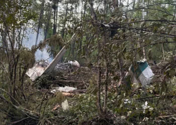El avión se estrelló en una zona boscosa/AFP