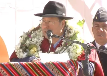 El presidente Luis Arce. Captura RRSS