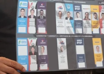 La papeleta sin la sigla política del NGP.