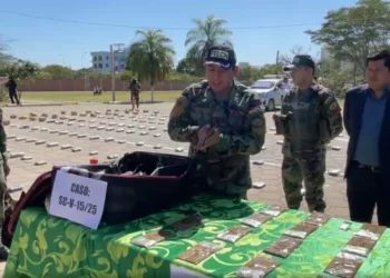 El viceministro Jaime Mamani y agentes de la FELCN en la prueba de campo de la droga incautada.
