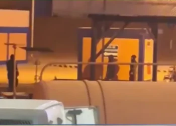 gasolina