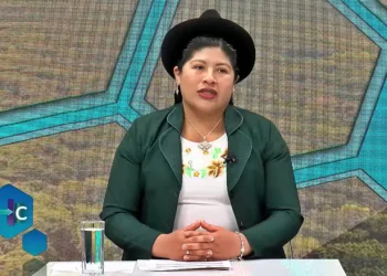 La viceministra de Culturas, Esperanza Guevara. Foto: Captura Bolivia Tv.