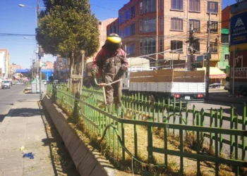 Se realiza mantenimiento y limpieza de las áreas verdes. Foto: GAMEA.