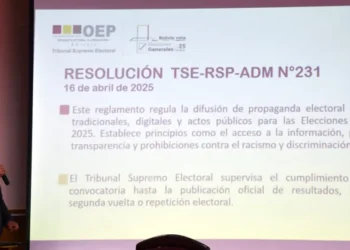 Un funcionario del TSE da a conocer los alcances del reglamento sobre propaganda electoral (Fuente: ABI)