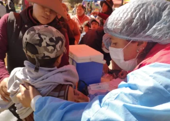 En El Alto, así como otras regiones, se realizan campañas de vacunación. Foto: GAMEA.
