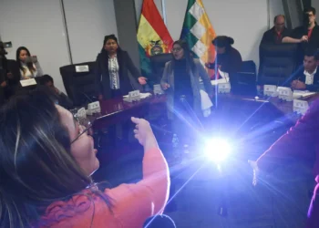 Encontronazos en la Comisión de Economía Plural por contrato de litio. Foto: APG.