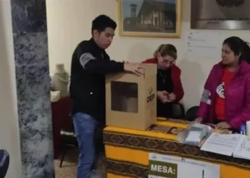 Residentes bolivianos en Chile preparan todo lo necesario para la votación del 20 de octubre de 2020. (ABI)