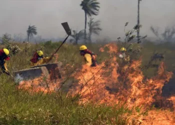 Incendios forestales en el departamento de Santa Cruz. (Foto: Archivo)