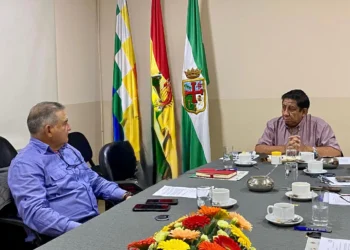 Bolivia podría exportar achachairú a Estados Unidos. Foto: Senasag.