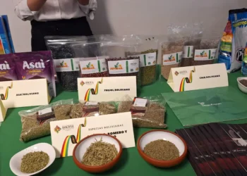 catálogo