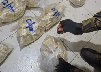 Parte de la droga encontrada en la factoría/Umopar